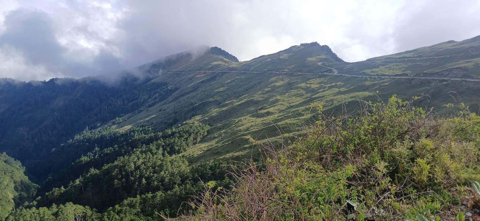 再戰武嶺。迷霧堅持。終現大景。 照片 3